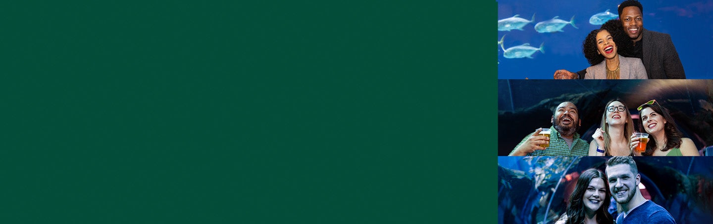 Sips Under the Sea 🍀 St. Patrick's Day