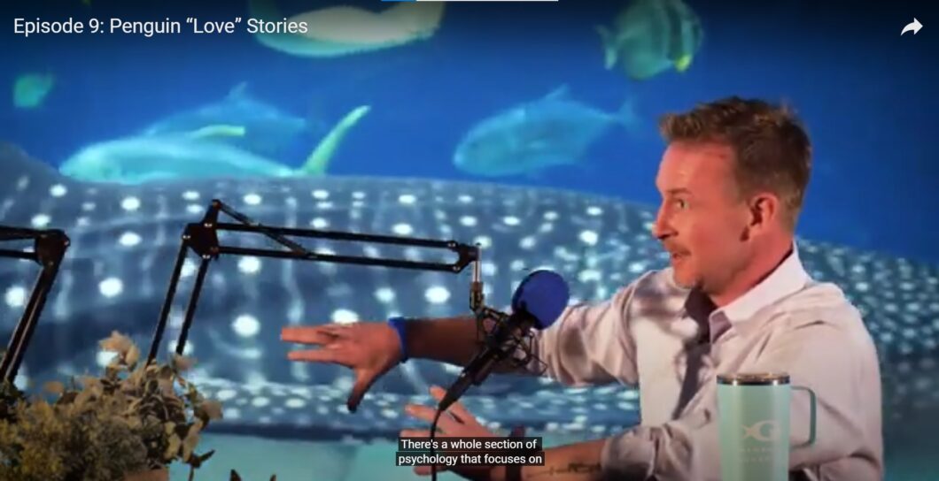 Georgia Aquarium Podcast - Life Below the Surface 11