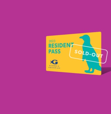 resident pass 1