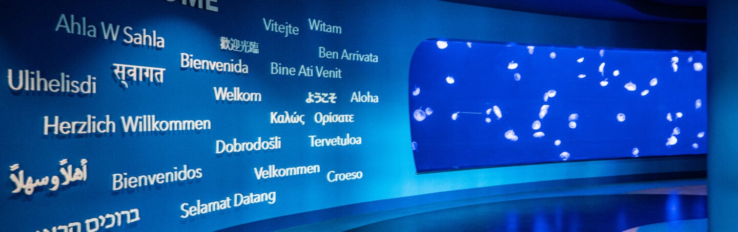 Georgia Aquarium Earns Prestigious STEM Certification