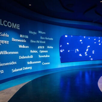 Georgia Aquarium Earns Prestigious STEM Certification