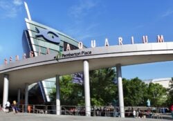 Georgia Aquarium Earns Prestigious AZA Accreditation