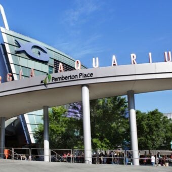 Georgia Aquarium Earns Prestigious AZA Accreditation