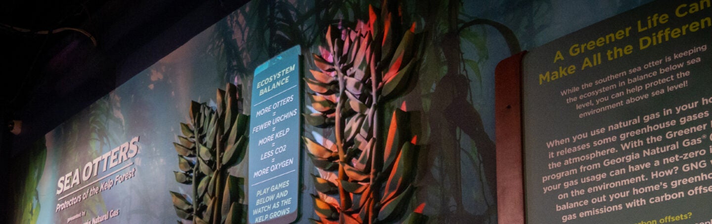 Georgia Aquarium Partners with Georgia Natural Gas® to Launch a New Interactive Element in Its Southern Sea Otter Exhibit 3
