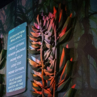 Georgia Aquarium Partners with Georgia Natural Gas® to Launch a New Interactive Element in Its Southern Sea Otter Exhibit 3
