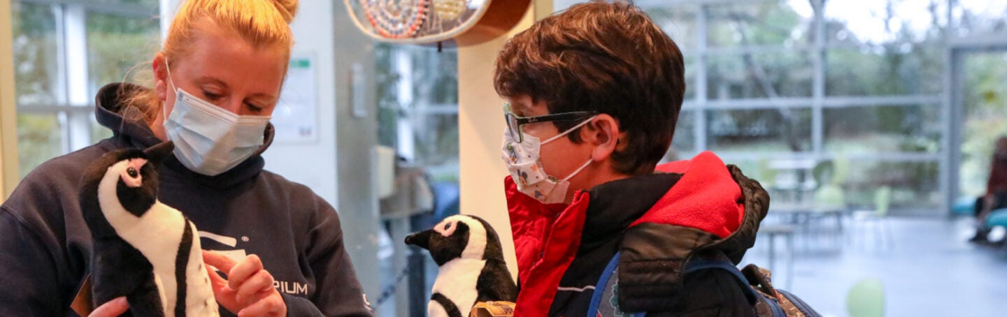 Georgia Aquarium Partners with the Ryan Seacrest Foundation to Bring Aquatic Animals to Children's Healthcare of Atlanta 1