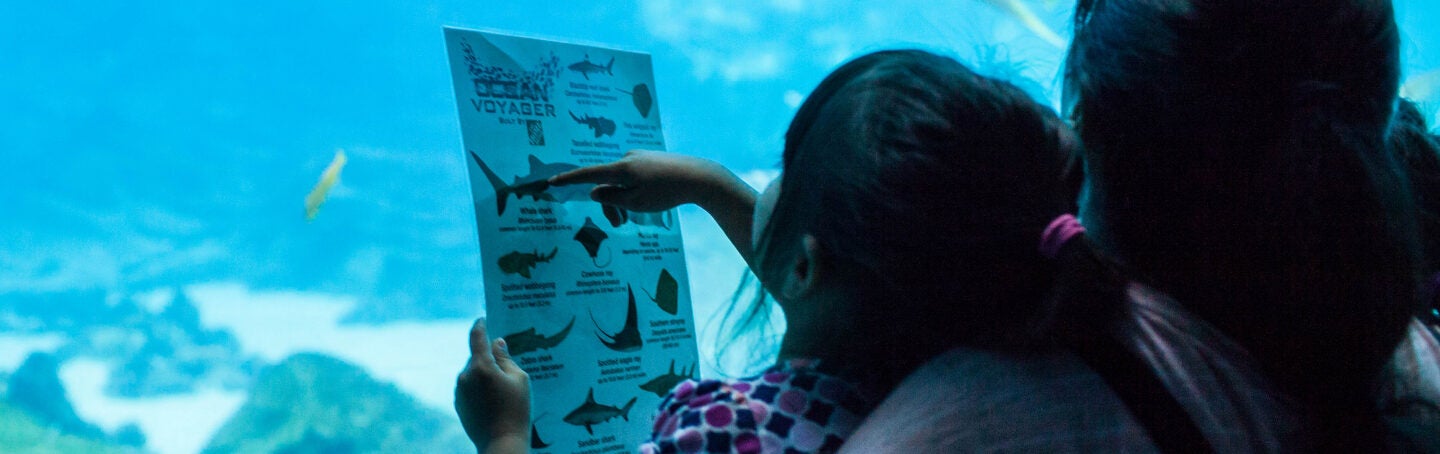 Georgia Aquarium Takes Their Certified Autism Center™ Designation to the Next Level 1