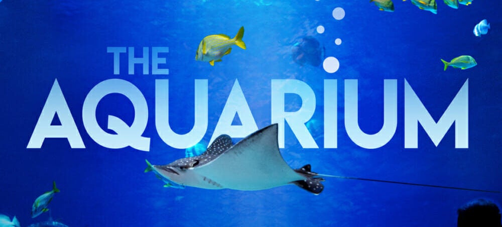 The Aquarium, on Animal Planet