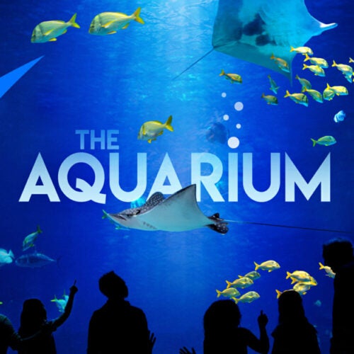 The Aquarium, on Animal Planet