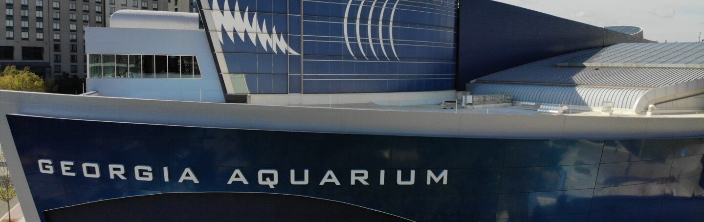 Georgia Aquarium, Taiwan researchers and wildlife officials partner on long-term marine conservation and education project