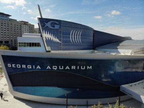 Georgia Aquarium, Taiwan researchers and wildlife officials partner on long-term marine conservation and education project