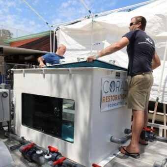 Driving Coral Recovery: Introducing The “Coral Bus”