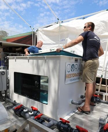 Driving Coral Recovery: Introducing The “Coral Bus”
