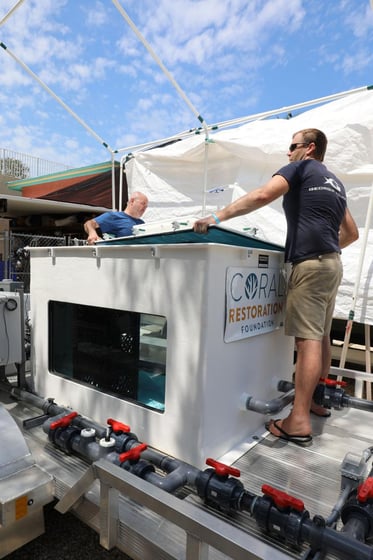 Driving Coral Recovery: Introducing The “Coral Bus”