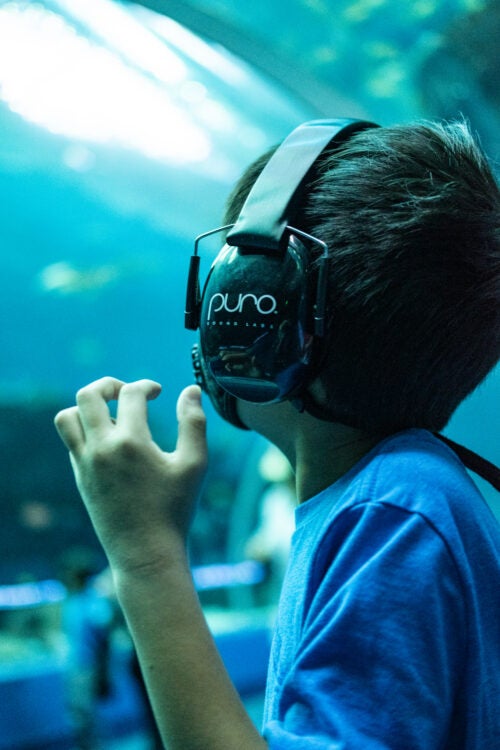 Georgia Aquarium Brings the Magic of Marine Life  to Guests with Disabilities Year-Round