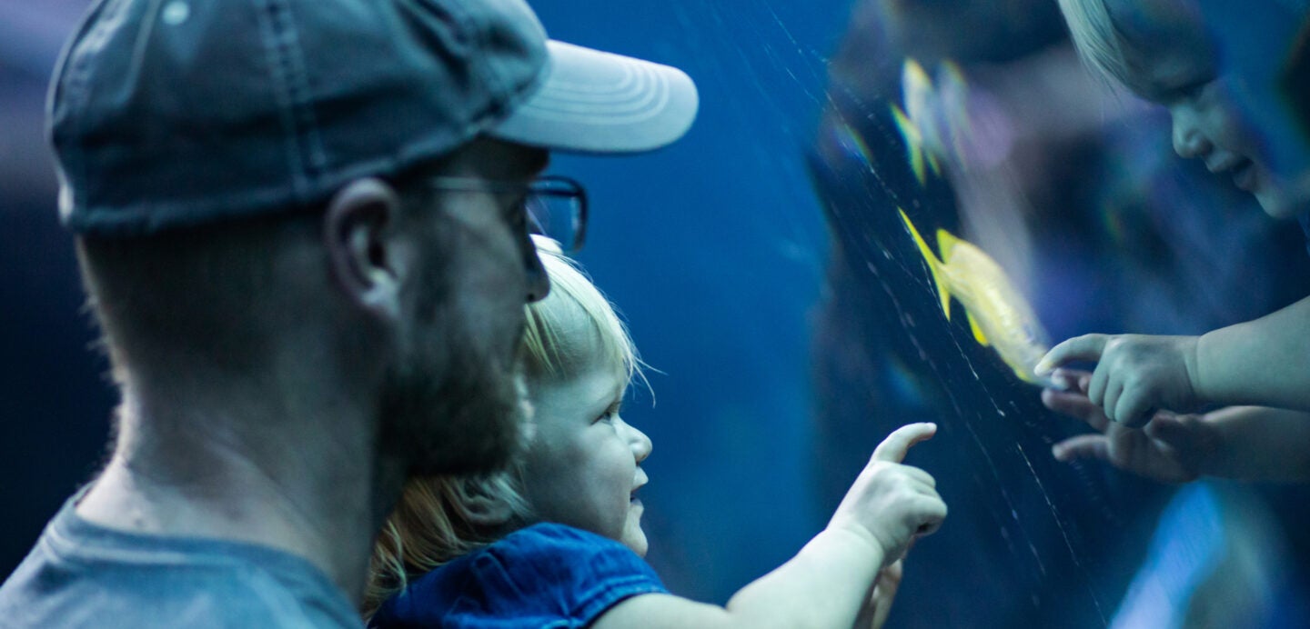 Buy Online and Save | Visit Today | Georgia Aquarium | Located in Downtown Atlanta, Georgia 7