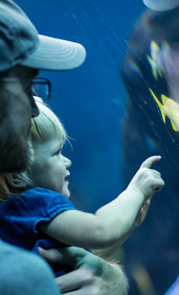 Heal the Bay Aquarium Science Camp - Heal the Bay