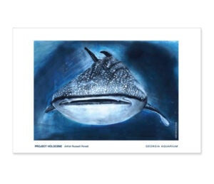 Holiday Gift Guide 145