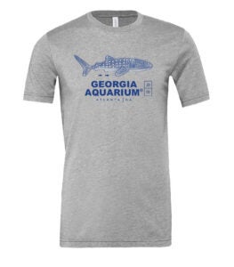 Holiday Gift Guide 160