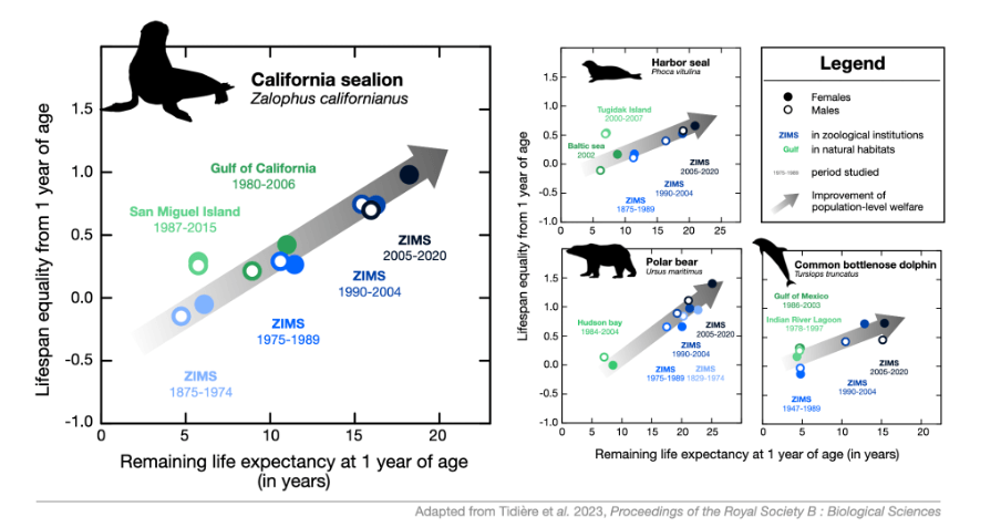 Marine Mammal Longevity Study Reveals Remarkable Advances in Animal Welfare