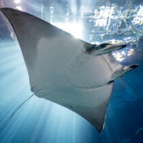 50% Off General Admission Tickets* 1