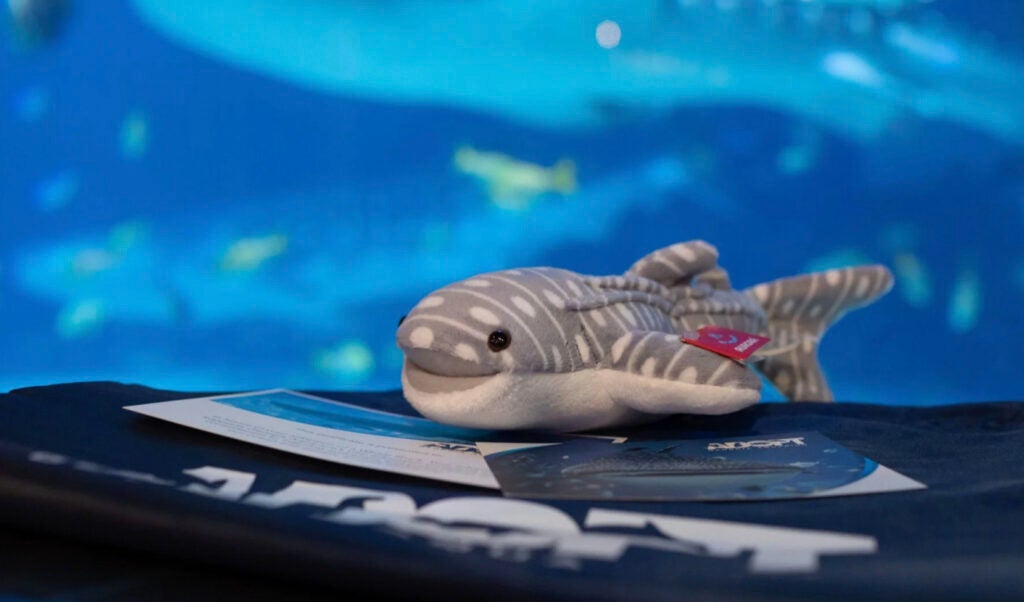 Support Georgia Aquarium 19