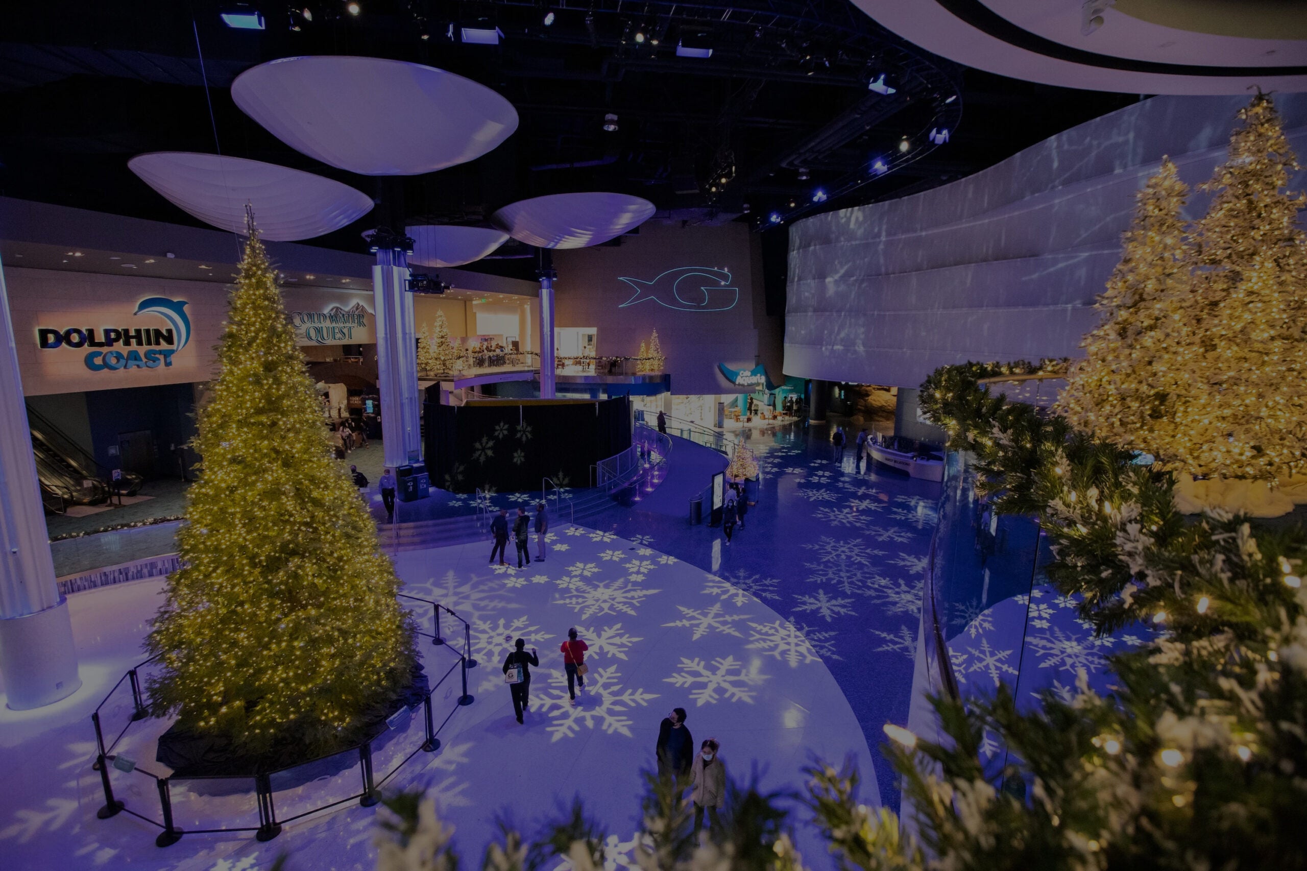 Holiday Gift Guide 168