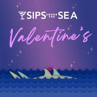 Sips Under the Sea - Valentine's Day 3