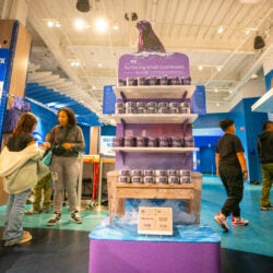 Surfacing Small Businesses 14
