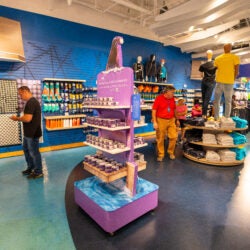 Surfacing Small Businesses 15