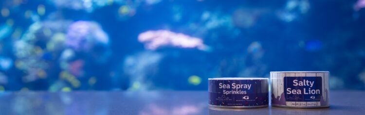 Surfacing Small Businesses 16
