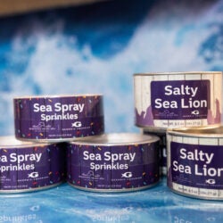 Surfacing Small Businesses 7