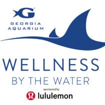 Wellness by the Water - Barre