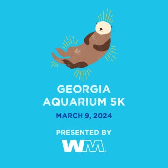 Georgia Aquarium 5K 26