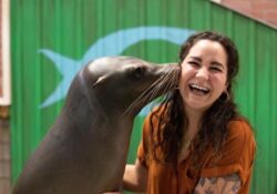 5 Things You Didn’t Know You Could Do at Georgia Aquarium 3