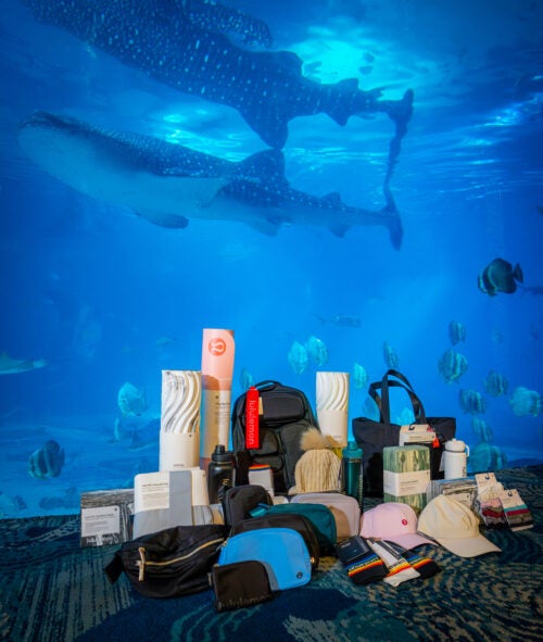 20,000 Beers Under the Sea 11