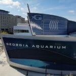 A Look At 2024 - Georgia Aquarium 2