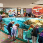 Georgia Aquarium Unveils Several New Experiences Coming in 2024