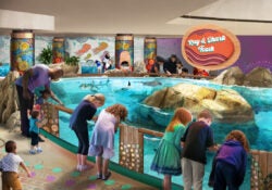 Georgia Aquarium Unveils Several New Experiences Coming in 2024