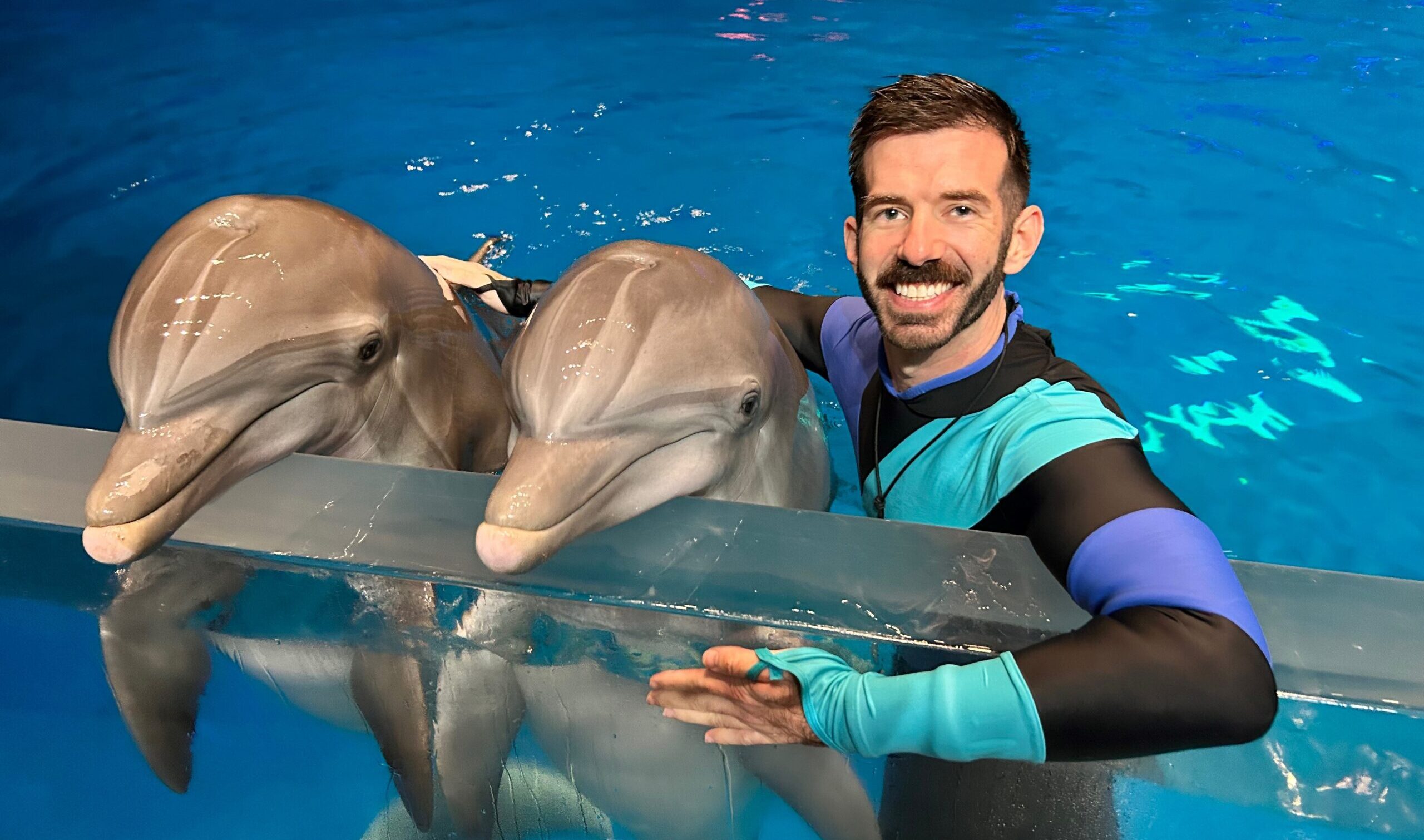Day in the Life of a Dolphin Trainer at Georgia Aquarium 1