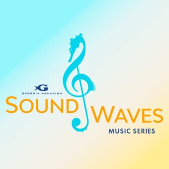 Sound Waves 15
