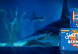 SWEETWATER BREWING LAUNCHES HAMMER RED AMBER ALE TO SUPPORT GEORGIA AQUARIUM 1