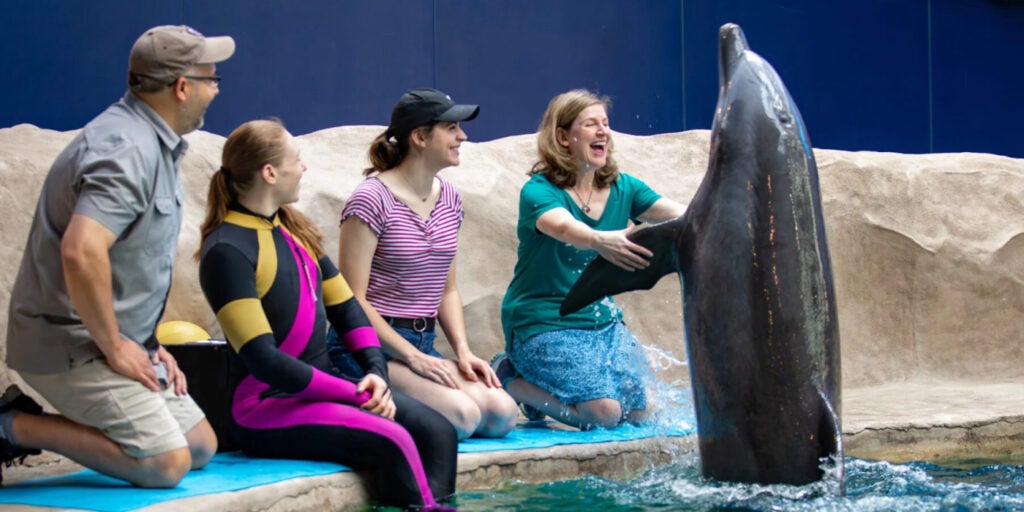 Georgia Aquarium