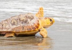 From Chill to Thrill 2