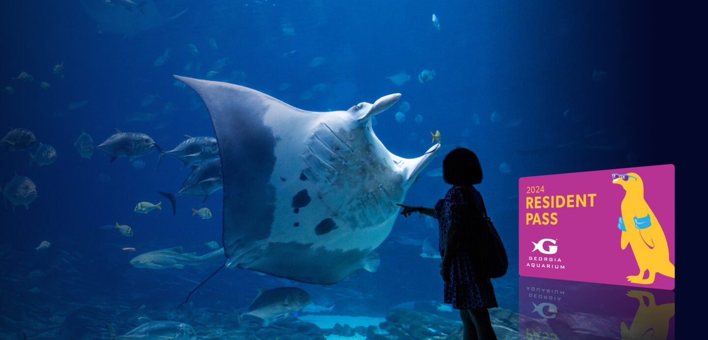 Buy Online and Save | Visit Today | Georgia Aquarium | Located in Downtown Atlanta, Georgia 21