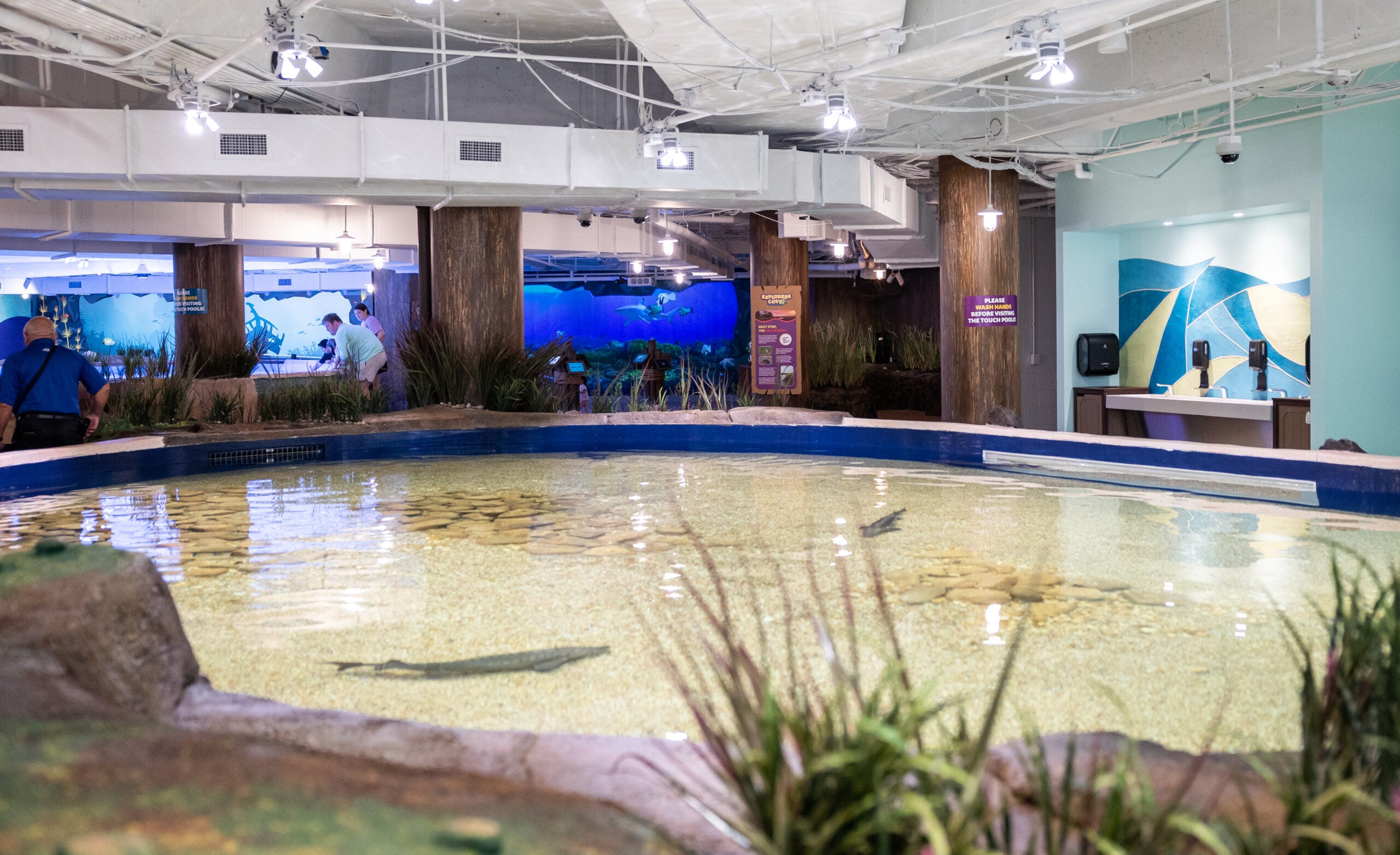 Explorers Cove: Georgia Aquarium&rsquo;s New Coastal Biome Exhibit 