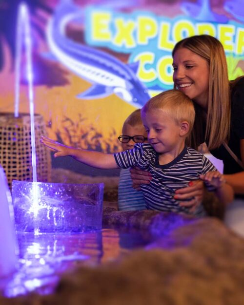 Georgia Aquarium s 2025 Event Calendar