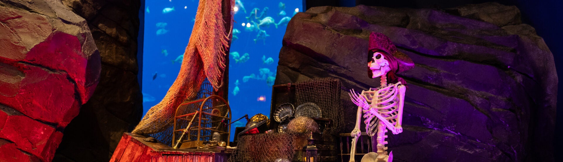 Haunted Seas Returns to Georgia Aquarium This Fall