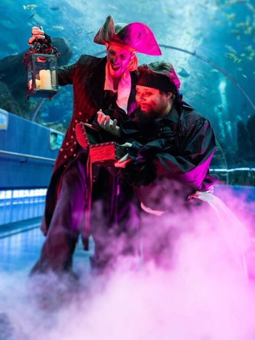 Remembering Brian L. Davis., Ph.D. Aquarium