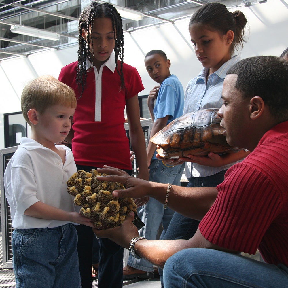 The Dr. Brian L. Davis Marine Biology, Conservation, and Education Scholarship 2